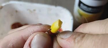 如何有效结合钓鱼技巧和诱钓方法？  第1张