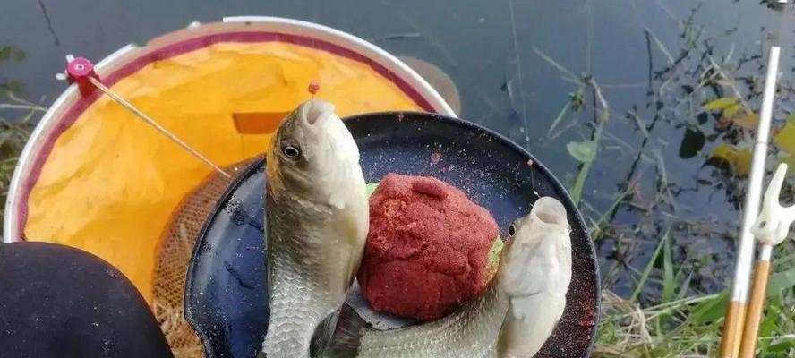 钓鱼技巧鱼饵怎么弄出来？有效方法有哪些？  第1张