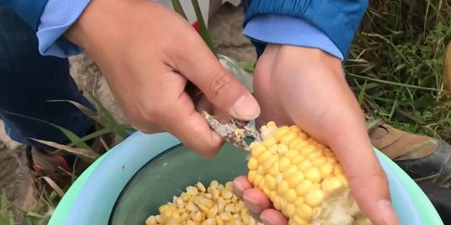 钓鱼技巧鱼饵怎么弄的？自制鱼饵的正确方法是什么？  第2张