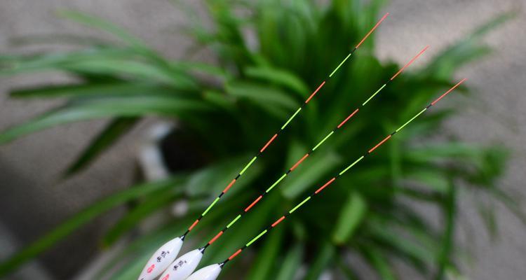钓鱼技巧鱼漂怎么调？调漂的正确步骤和技巧是什么？  第1张