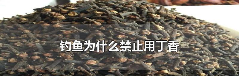 如何使用饵料丁香提高钓鱼技巧？饵料丁香的正确使用方法是什么？  第3张