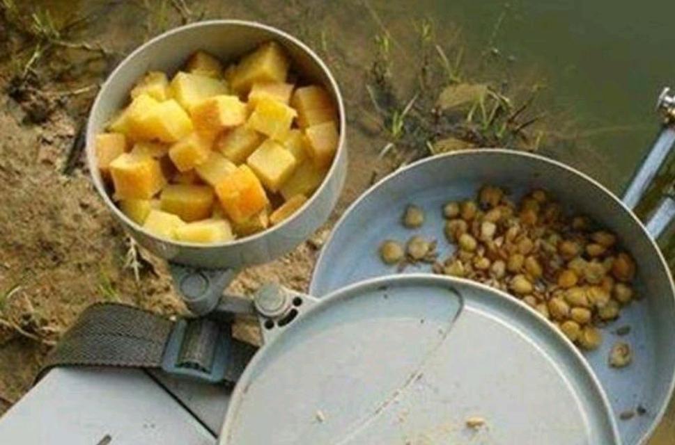 如何提升钓鱼技巧？最佳饵料配方是什么？  第1张