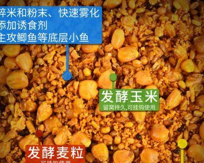 如何正确挂玉米粒鱼饵提高钓鱼效率？常见错误有哪些？  第2张