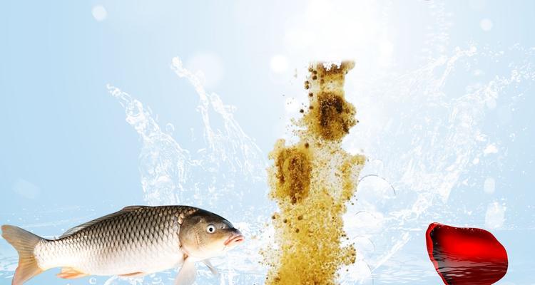 在美国钓鱼时如何选择合适的鱼饵种类？有哪些技巧和建议？  第1张