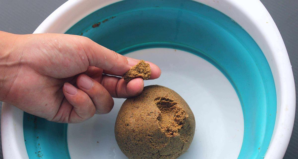 在美国钓鱼时如何选择合适的鱼饵种类？有哪些技巧和建议？  第2张