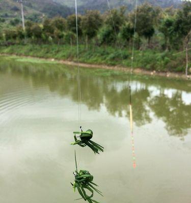 如何巧妙地将两根钓鱼线绑在一起？掌握正确的钓鱼线连接方法  第1张