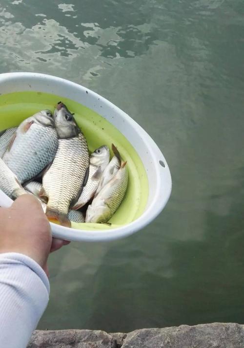 钓鱼技巧怎么测水深？掌握正确方法提高钓鱼效率  第2张