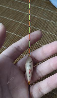 钓鱼技巧怎么钓水鱼？掌握这些方法轻松上钩！  第1张