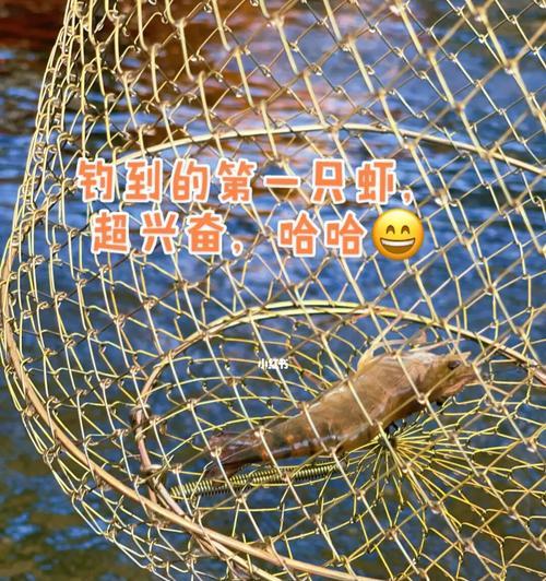 钓鱼技巧怎么钓虾？虾类垂钓的正确方法是什么？  第3张