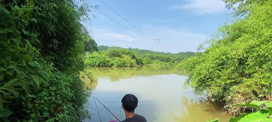 钓鱼技巧怎么上岸？掌握这些方法轻松上岸！  第3张