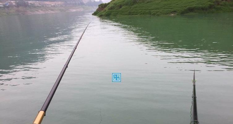 钓鱼技巧怎么提高水位的？有哪些有效方法？  第2张
