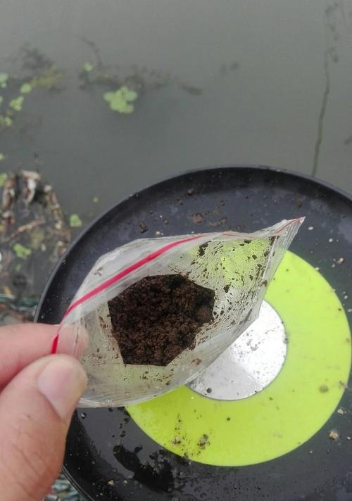怎样钓昂次？掌握这些钓鱼技巧轻松上钩！  第3张