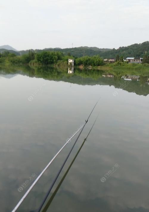 水库野钓实战篇有哪些技巧？如何提高钓鱼成功率？  第1张