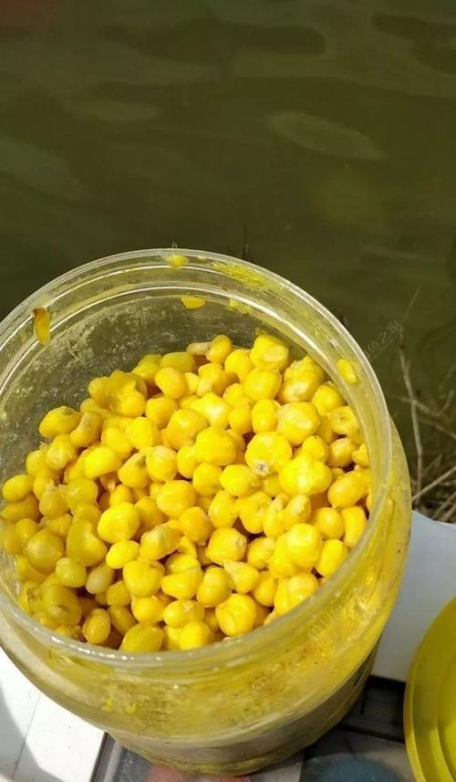 钓鱼技巧之闲谈：如何选择合适的鱼饵？常见问题有哪些？  第3张