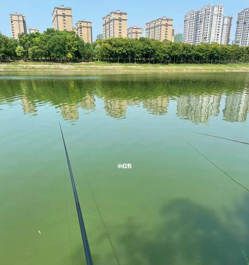 钓鱼技巧中文有哪些？如何快速掌握钓鱼技巧？  第1张