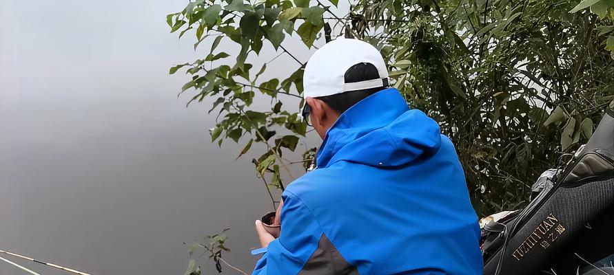 钓鱼教学中的经典技巧有哪些？如何快速掌握？  第2张