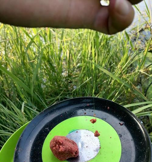 如何开饵搓饵？钓鱼开饵搓饵技巧教程有哪些常见问题？  第3张