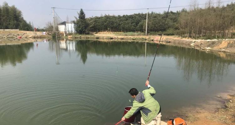 如何选择最佳钓鱼开饵方法？掌握这些技巧能提高钓鱼成功率吗？  第1张