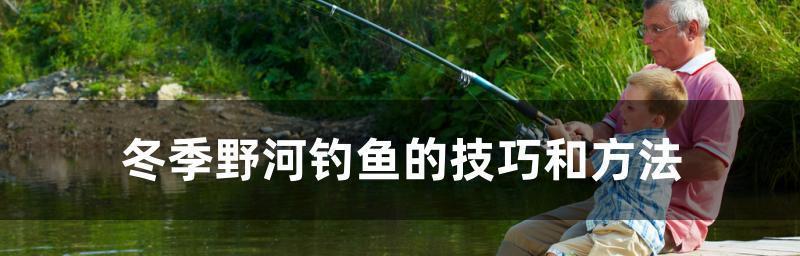 如何选择最佳钓鱼开饵方法？掌握这些技巧能提高钓鱼成功率吗？  第3张