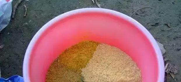 如何正确开拉饵？掌握钓鱼开拉饵的技巧有哪些？  第2张