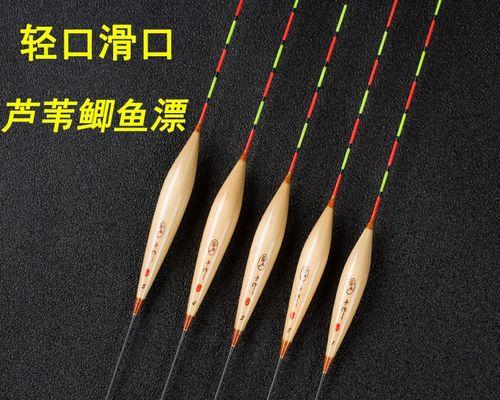 如何在钓鱼看漂比赛中提高技巧？常见问题有哪些？  第2张