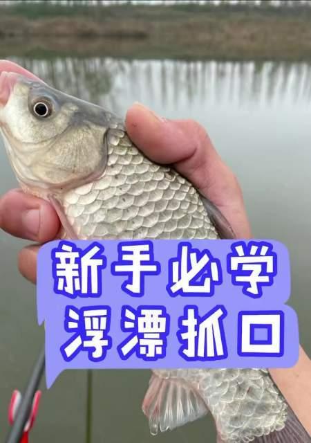 如何掌握钓鱼看漂技巧？看漂技巧有哪些常见问题？  第1张