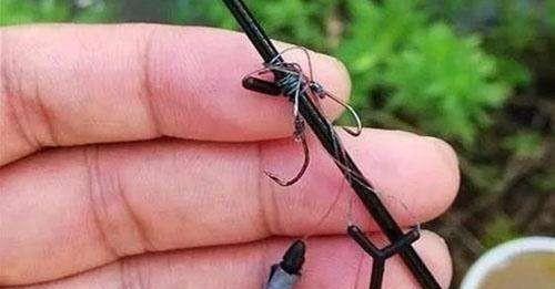 如何掌握钓鱼看漂相的技巧？常见问题有哪些？  第2张