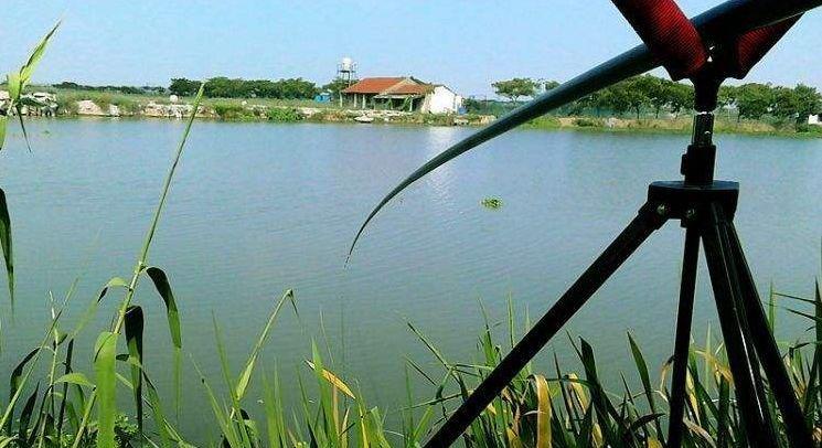 如何看漂抓顿口？钓鱼中抓顿口的技巧有哪些？  第3张