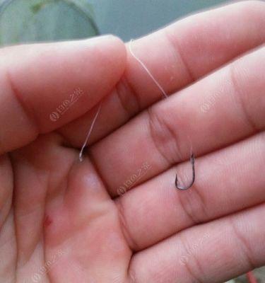 如何看漂抓顿口？钓鱼中抓顿口的技巧有哪些？  第2张