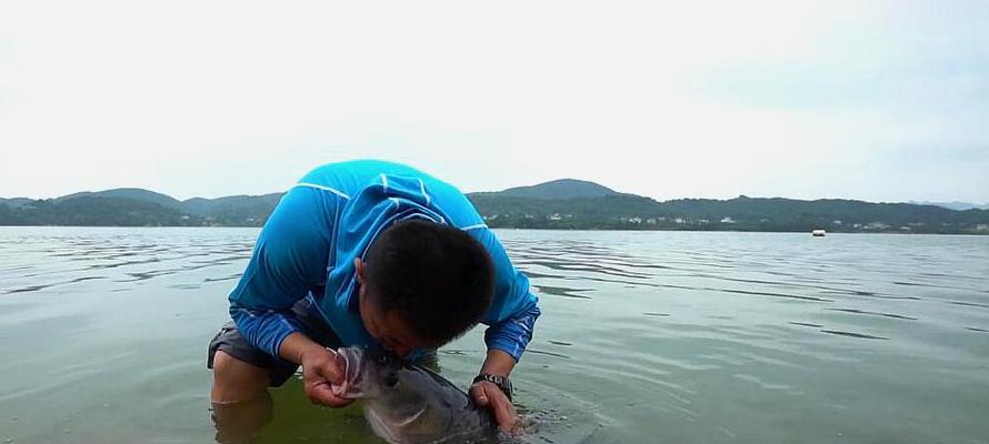 野外钓大鱼有哪些技巧？如何提高钓鱼客的钓鱼效率？  第1张