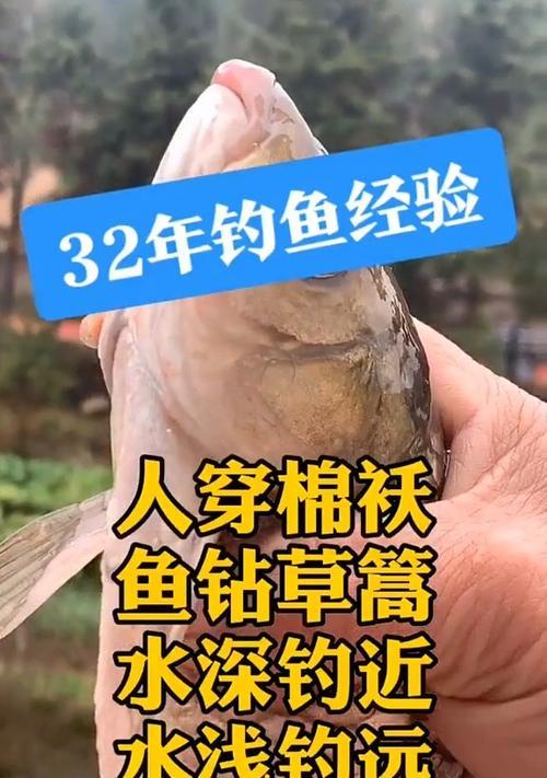 如何快速掌握钓鱼口诀与技巧？简单步骤是什么？  第2张