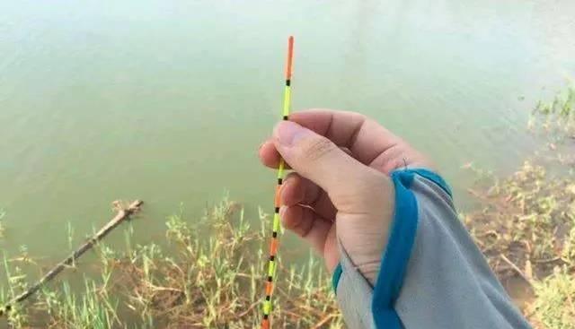 如何掌握钓鱼口轻调漂技巧？常见问题有哪些？  第3张