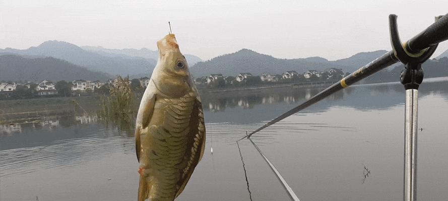 钓鱼灵顿调节技巧是什么？如何有效掌握？  第1张