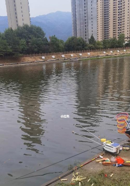 如何掌握钓鱼流程技巧教程？常见问题有哪些？  第2张