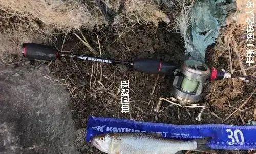 钓鱼没有技巧只有出勤率？如何通过频繁出钓提高钓鱼成功率？  第2张