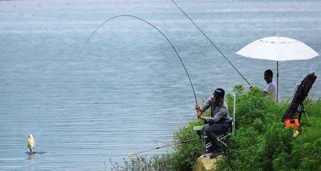 如何提高钓鱼漂浮水面的技巧？有哪些常见问题需要避免？  第3张