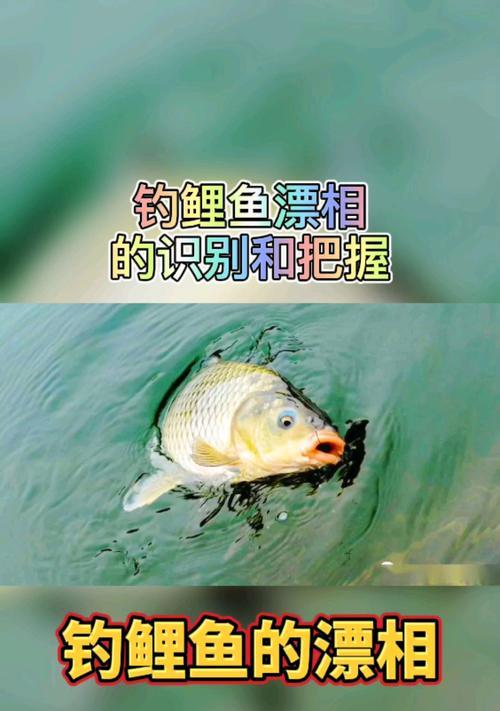 钓鱼漂相的技巧有哪些？如何通过漂相判断鱼儿上钩？  第3张