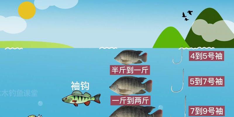 钓鱼起竿技巧用几号钩合适呢？如何根据鱼种选择合适的钩号？  第3张