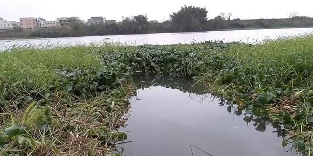 野河钓鱼技巧有哪些？如何成为钓鱼高手？  第3张