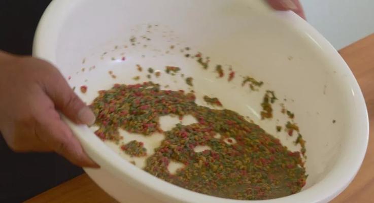 钓鱼人捏饵技巧有哪些？如何提高捏饵效率？  第1张