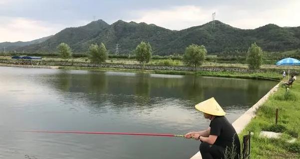 钓鱼三板斧怎么用？使用技巧有哪些？  第1张