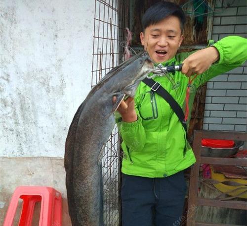 钓鱼骚操作技巧有哪些？如何提高钓鱼成功率？  第1张