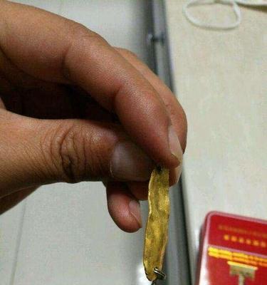 钓鱼骚操作技巧有哪些？如何提高钓鱼成功率？  第3张