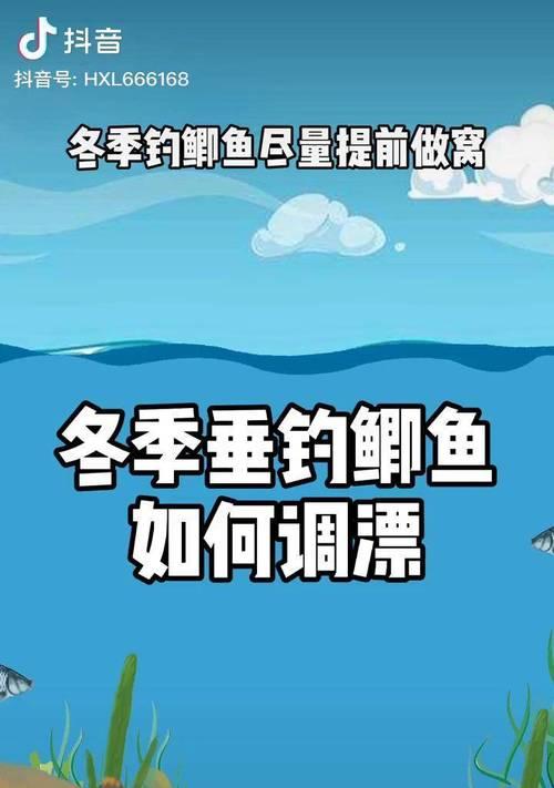 冬季雨天钓鱼调漂技巧是什么？如何应对雨天钓鱼的挑战？  第1张