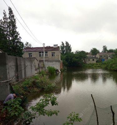 冬季走水河道野钓鲫鱼技巧有哪些？如何应对鲫鱼的冬季活动特点？  第2张