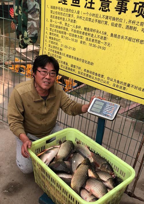 冬日大棚钓鱼技巧有哪些？如何提高钓鱼成功率？  第1张