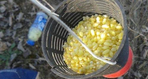 冬天冰钓鲫鱼的技巧和方法是什么？如何提高冰钓鲫鱼的成功率？  第1张