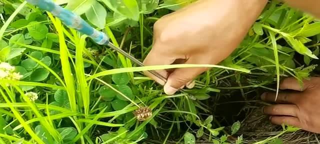 冬天草丛钓鱼技巧有哪些？如何提高冬季草丛钓鱼的成功率？  第3张