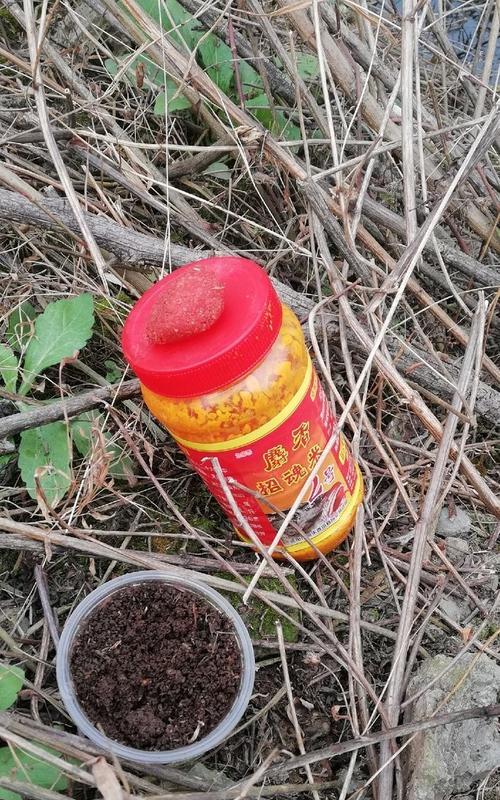 冬天草丛钓鱼技巧教学？如何提高冬季钓鱼成功率？  第2张