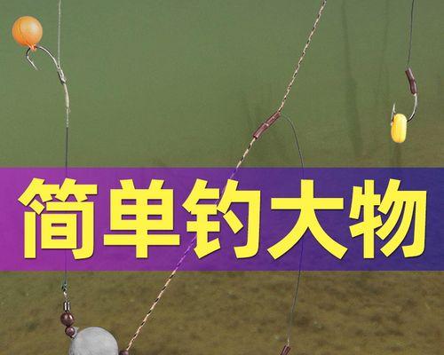 冬天串钩钓鱼的技巧是什么？如何提高冬季钓鱼成功率？  第2张